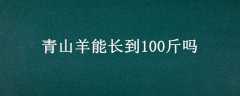 ɽܳ100