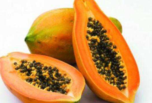 吃木瓜的禁忌有哪些 木瓜相克食物及禁忌有哪些