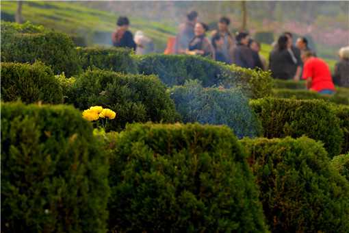 2021年清明不过社是哪一天