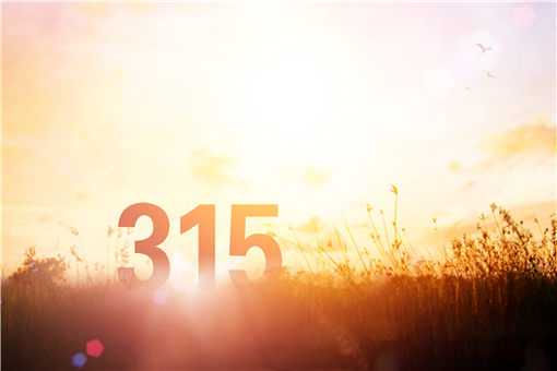 315ʲô