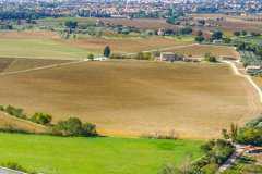 2021����ص��������������ߣ�һĶ�ز�������Ǯ��