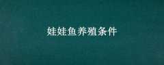 ֳ