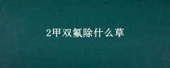 2˫ʲô
