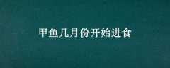 㼸·ݿʼʳ