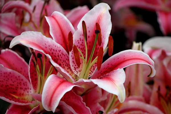 ٺϻ<a href='https://www.yangji120.com/life/list-90/' target='_blank'><u></u></a>Ԣ ʺ͸Щ