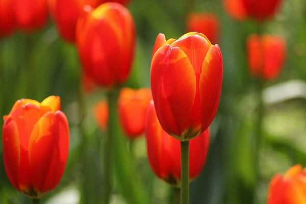 <a href='https://www.yangji120.com/life/list-90/' target='_blank'><u></u></a>Ԣ ʺ͸Щ