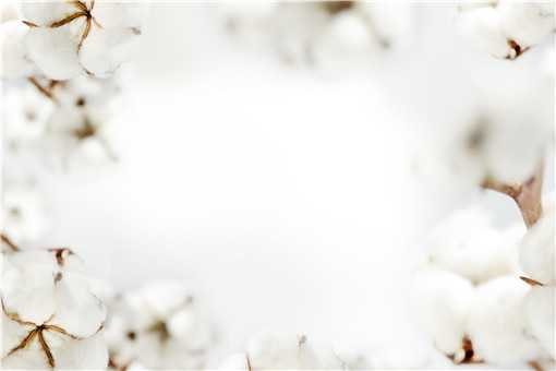 关于新疆棉花的6个事实