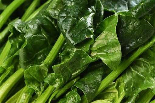 ũ�����1300�ﲤ������15Ԫ