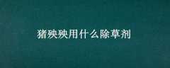 ʲôݼ