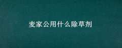 ҹʲôݼ