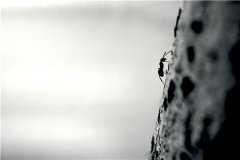 ������ҧ�˺�������ô�죿��ôԤ�������ҧ��