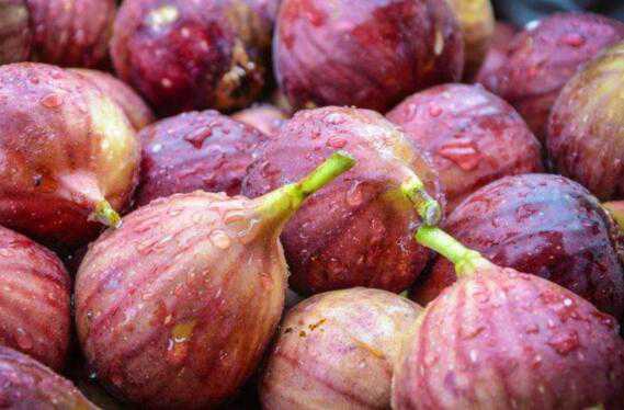 5���˲��ܳ��޻��� ���޻����Ľ�������Щ