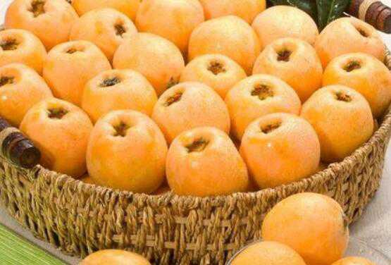 ʲô˲ܳ ˵ĽЩ