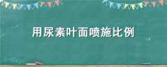 Ҷʩ