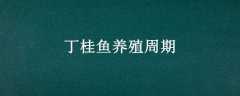 ֳ