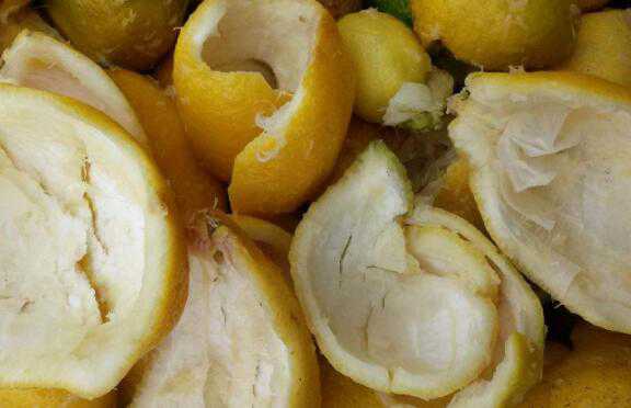 ����Ƥ��ôϴ�ɾ� ����Ƥ��ô����