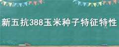 忹388