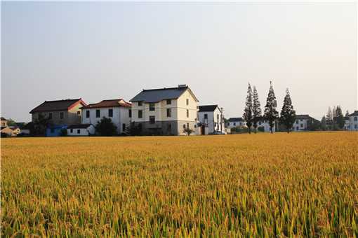ũ廧ʲôô