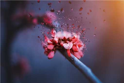 ���Ԥ�����۹���