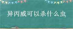ɱʲô