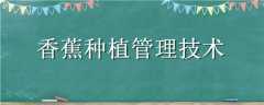㽶ֲ