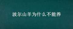 ɽΪʲô
