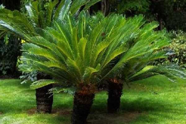 �����ø���ô�� ���ȷ�������Щ