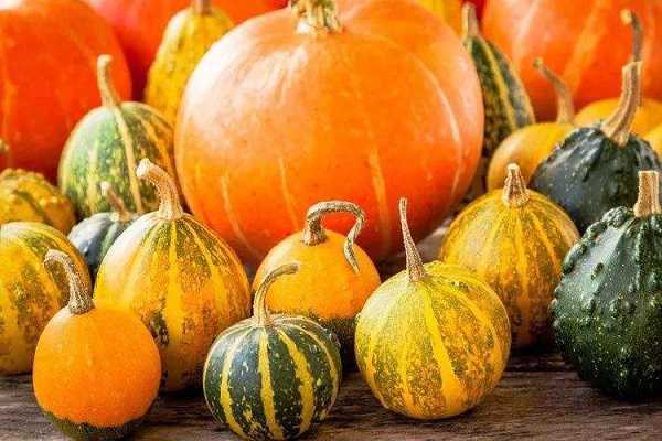 �Ϲ��ڷ۳ɹ�Ҫ���� ʲôʱ���ڷ����