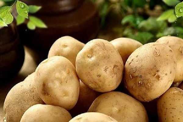 ˮ�������Ĳ�������Щ ��Ҫ�п���