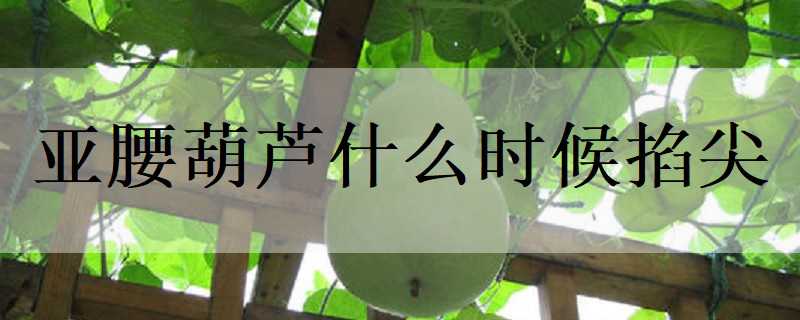 ������«ʲôʱ������