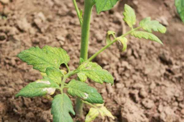 �����������Ժ���ô����