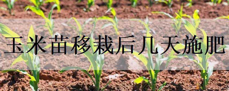 Ժʩ