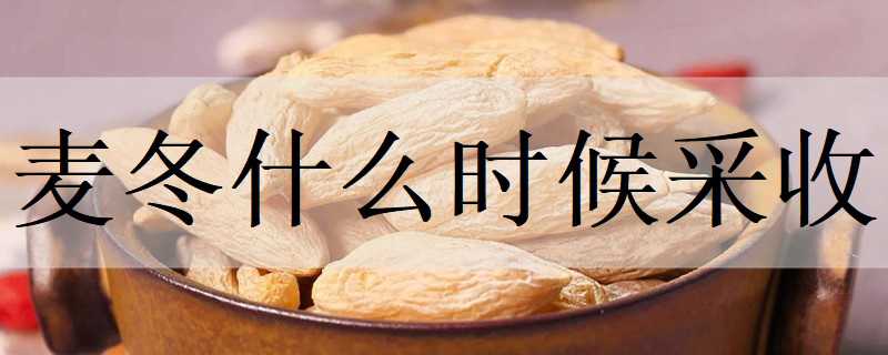 ��ʲôʱ�����