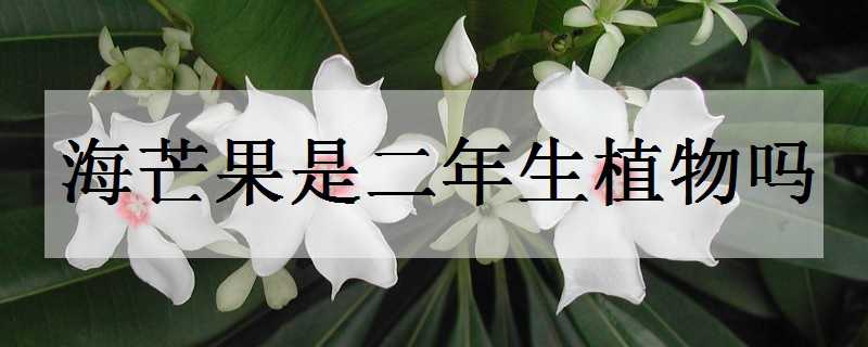 âǶֲ