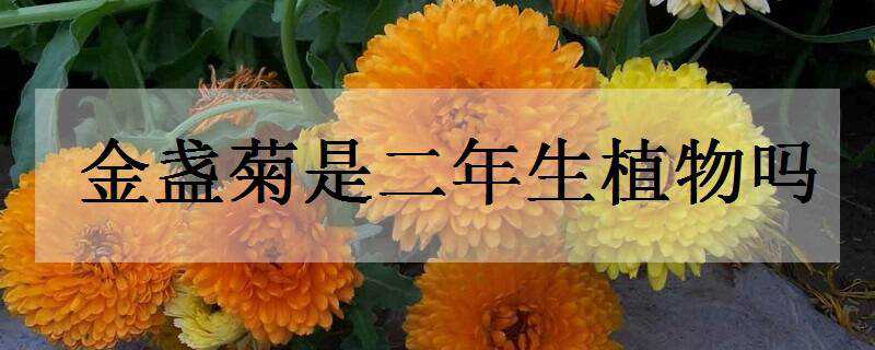 յǶֲ