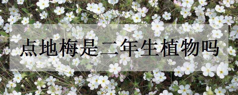 ���÷�Ƕ�����ֲ����