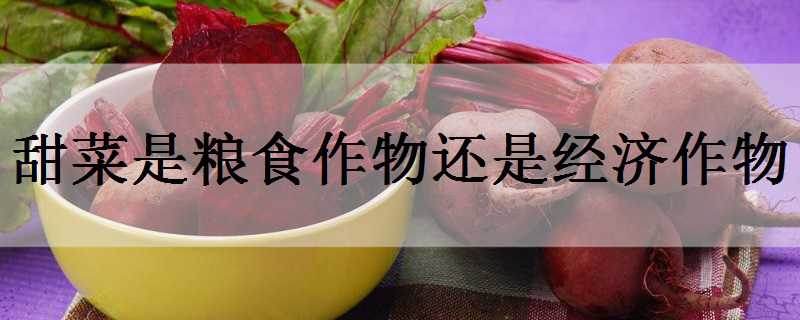 ʳﻹǾ