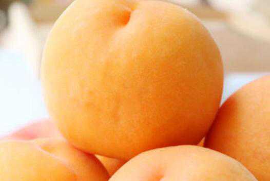 �ƽ����Һͽ�����ҵ�����  �����ӵĺô�