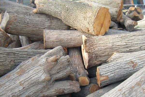 ������ͨ��ľ���ô� ��ľ�Ĳ����ص�