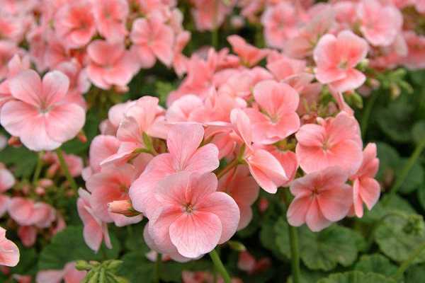 ���ÿ�Ǥ�巽����ʱ�� Ǥ��ע������