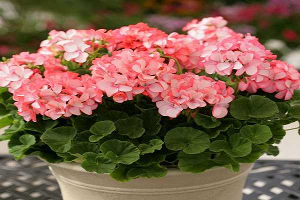 ���ÿ�Ǥ�巽����ʱ�� Ǥ��ע������