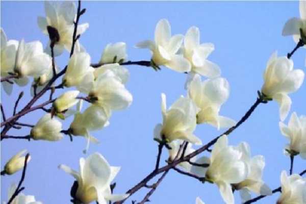 ��������ζ�ж��� ��������������