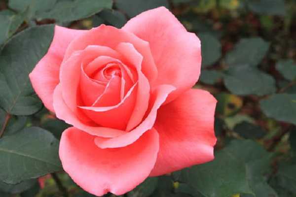 �޽��¼��ܻ������ �޽Ӷ�ÿ��Գɻ�