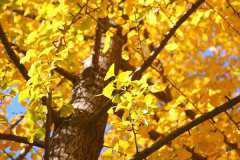 ��������������Ҫ�޽���