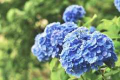 ���򻨴�ͷ��ô�죬�����������Щ