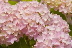 �޾�����ô����������������ʲô