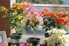 ����÷������ʲôԭ��Ҫ���Ԥ��