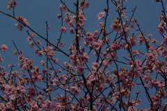 ����÷����ô��������Щע������