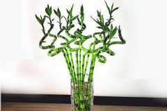 ת����˷�������ô��ˮ���Ľ���취