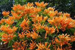 ���̻�������������������Щ����ô�ֱ����